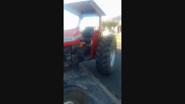 Imagem Trator Massey Ferguson 290 1981 – 86 CV | Taquaritinga/SP