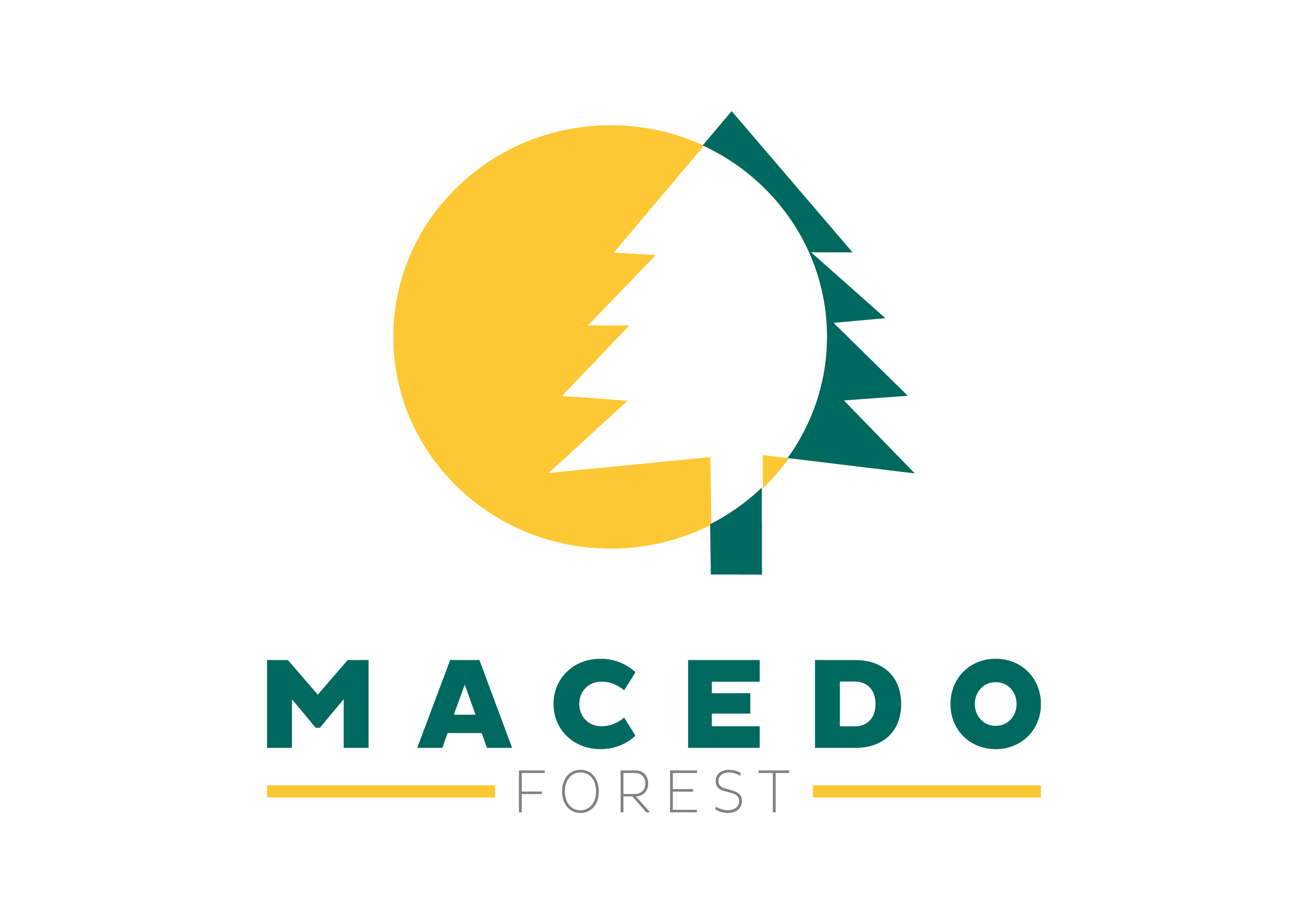 Logo da loja oficial ALCEU MACEDO DA SILVA NETO