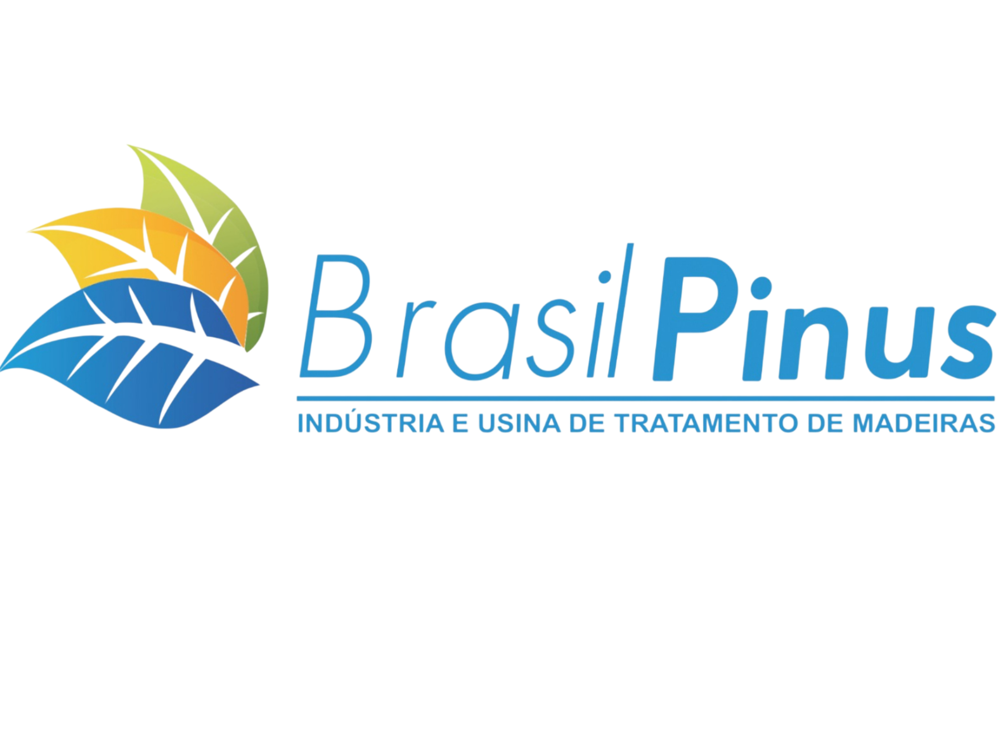 Logo da loja oficial Brasil Pinus