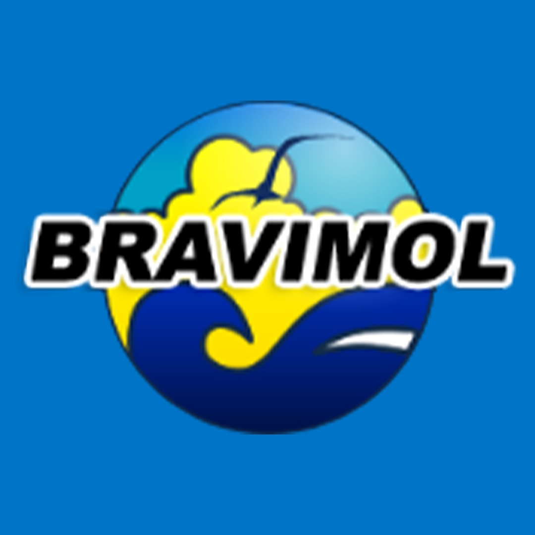 Logo da loja oficial Bravimol