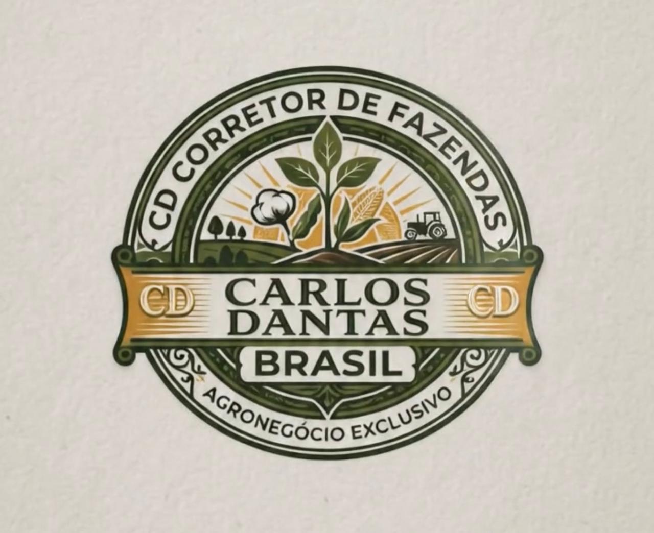 Logo da loja oficial Dantas Representações
