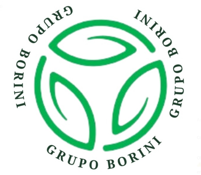 Logo da loja oficial Grupo Borini