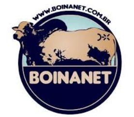 Logo da loja oficial BOINANET
