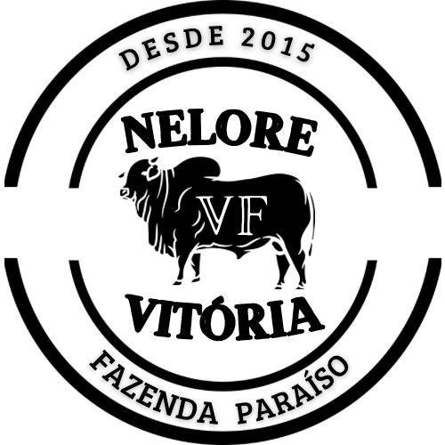 Nelore VF Vitória – Genética de Resultado no Campo