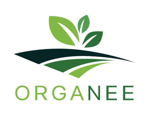 Logo da loja oficial ORGANEE