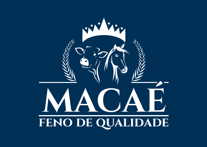 MACAÉ FENO DE QUALIDADE