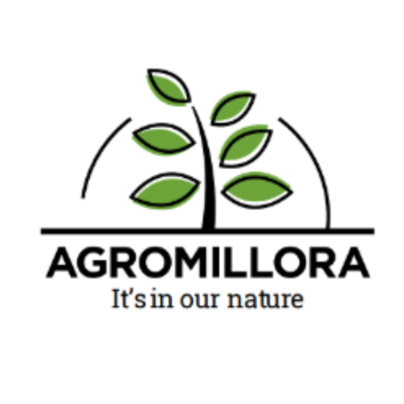 AGROMILLORA PRODUÇÃO E COMÉRCIO DE MUDAS VEGETAIS LTDA