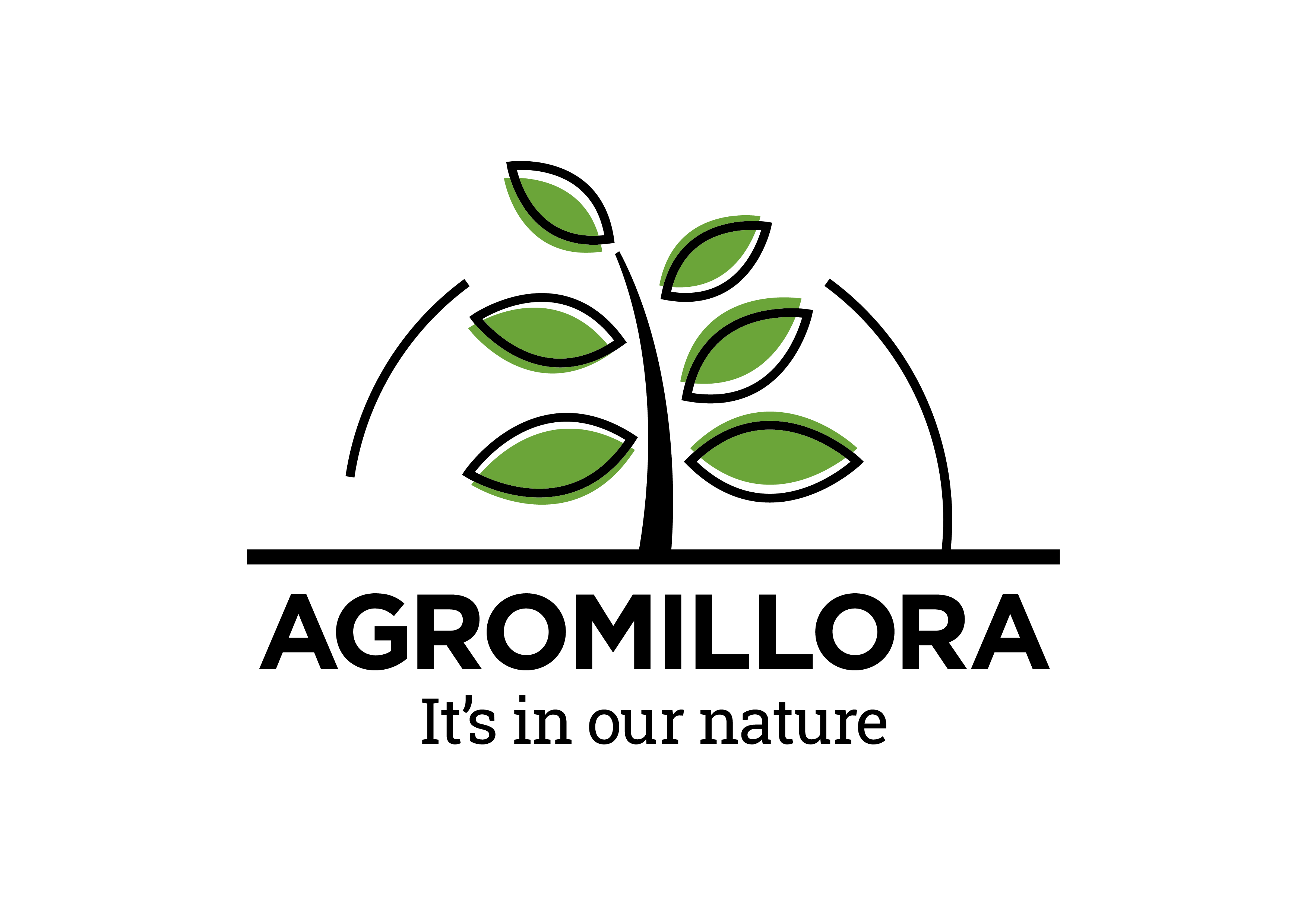 Logo da loja oficial AGROMILLORA PRODUÇÃO E COMÉRCIO DE MUDAS VEGETAIS LTDA