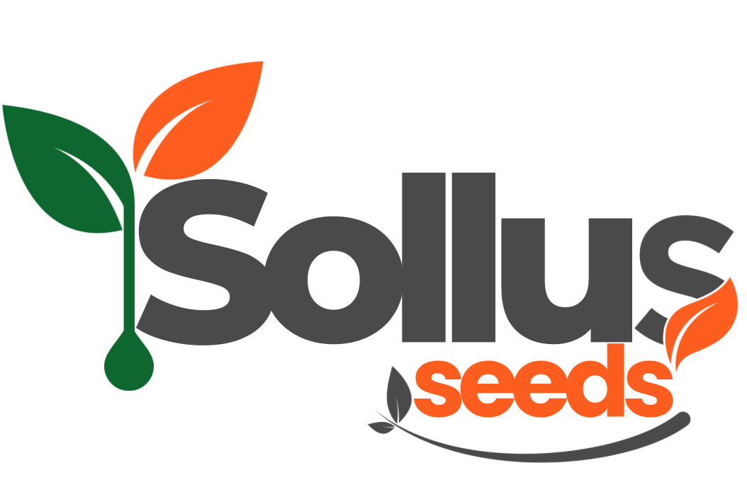 Logo da loja oficial Sollus Seeds  Ltda