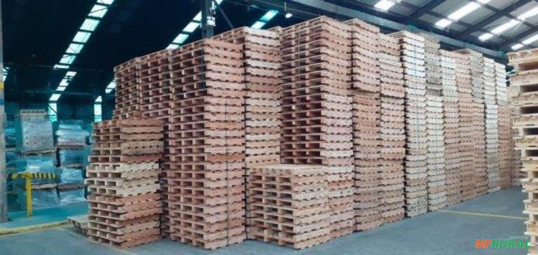 Paletes Pbr | Preço Venda Compra Pág 4 - MF Rural