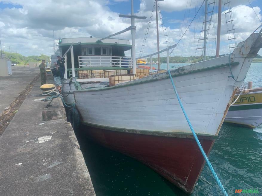 Barco em Salvador - BA Venda de Barco em Salvador - BA Preço