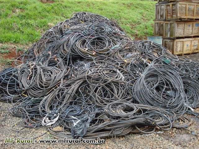 10 fatos inegáveis ​​sobre preço ring neck azul 