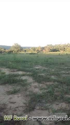 Br 116 em Minas Gerais - Fazendas / Imóveis Rurais | Preço
