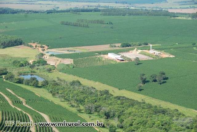 Fazendas de cafe a venda no sul de minas gerais Excelente Fazenda De Cafe Com 996 Ha Em Campestre Sul De Minas Gerais Priorizar Imoveis