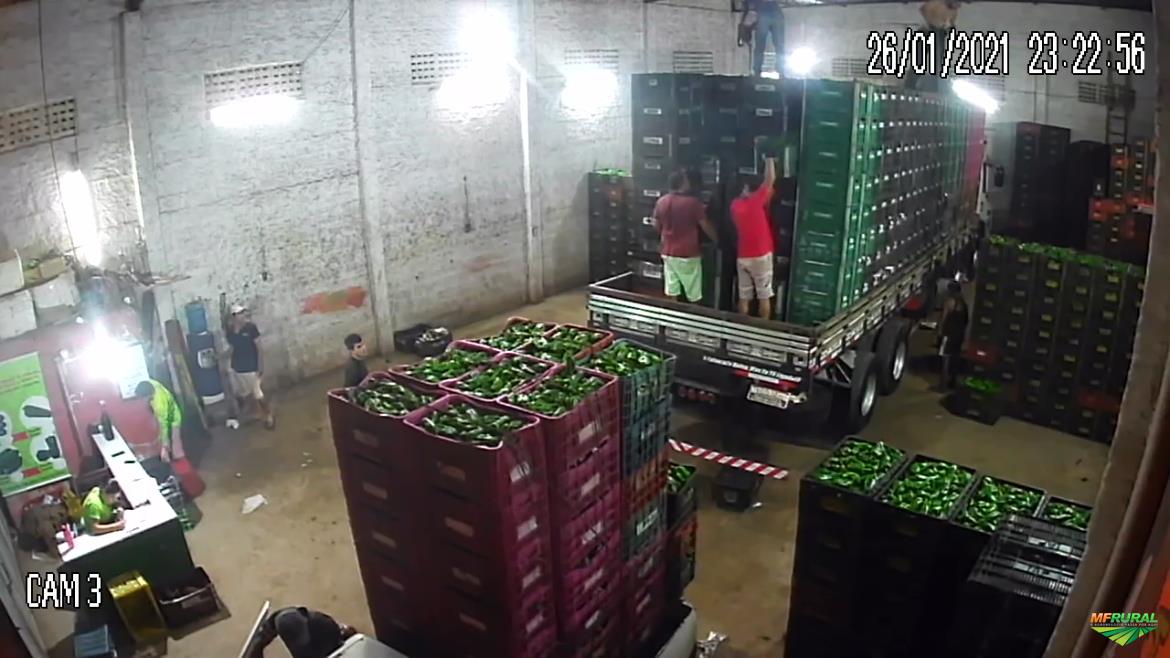 Hortifruti Ceasa Preço Venda Compra MF Rural