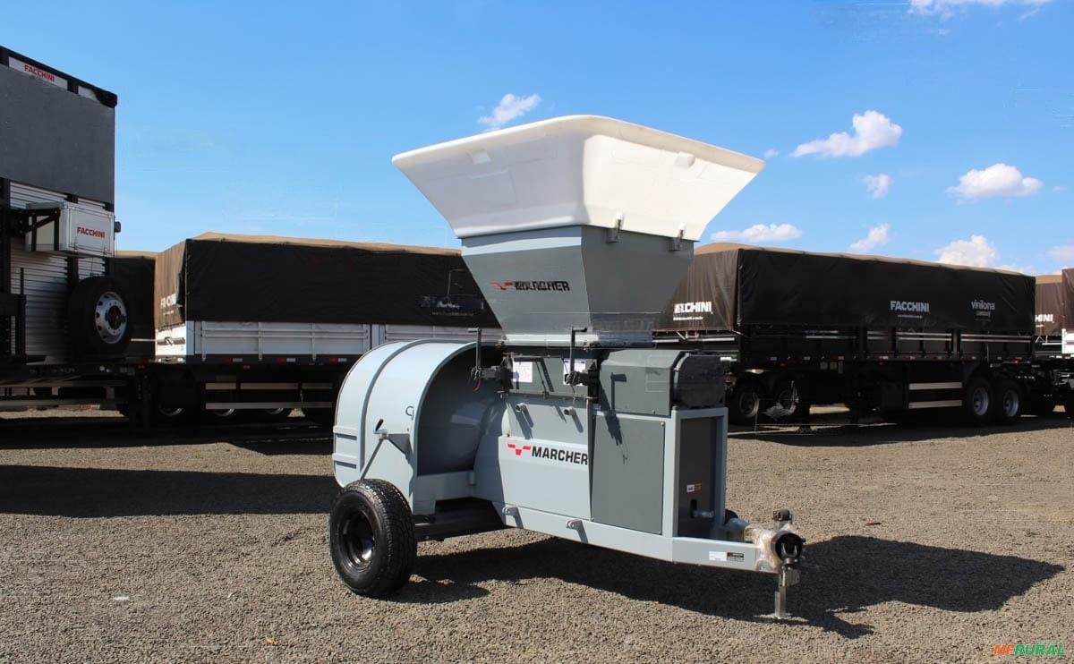 Iengain Ingrain Marcher | Preço Venda Compra - MF Rural