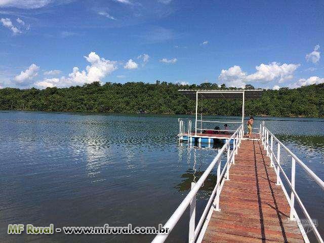 Capim Branco Preço Venda Compra MF Rural