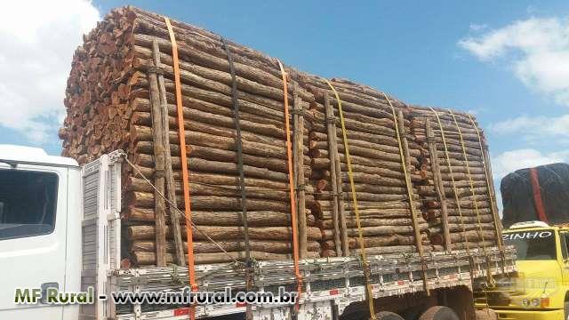 Sabia Cercas | Preço Venda Compra - MF Rural