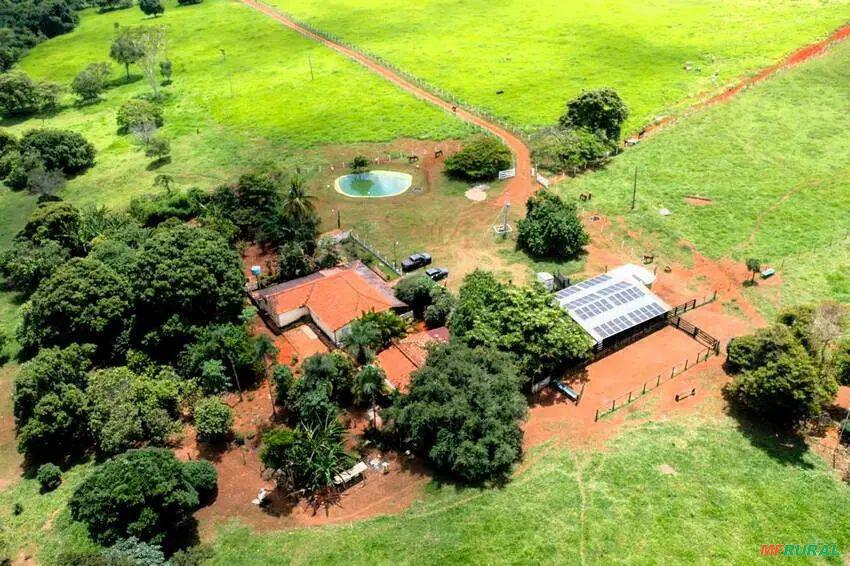 Fazenda Mt | Preço Venda Compra - MF Rural