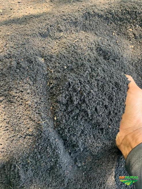 Terra Vegetal em Sorocaba SP | Preço Venda Compra - MF Rural