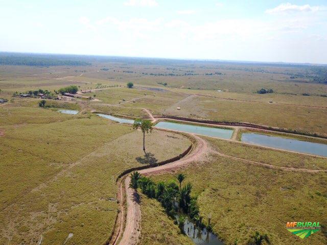 Rio Crespo Rondônia fonte: imagens.mfrural.com.br