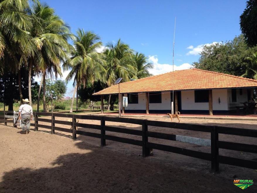 Fazenda Espetacular no Mato Grosso , Uma Das Melhores do Brasil 344594