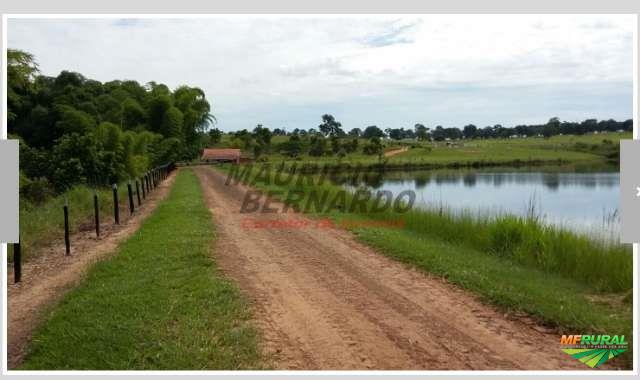 Fazenda em Brasilândia - Ms em Brasilândia MS à venda. Compre 276978