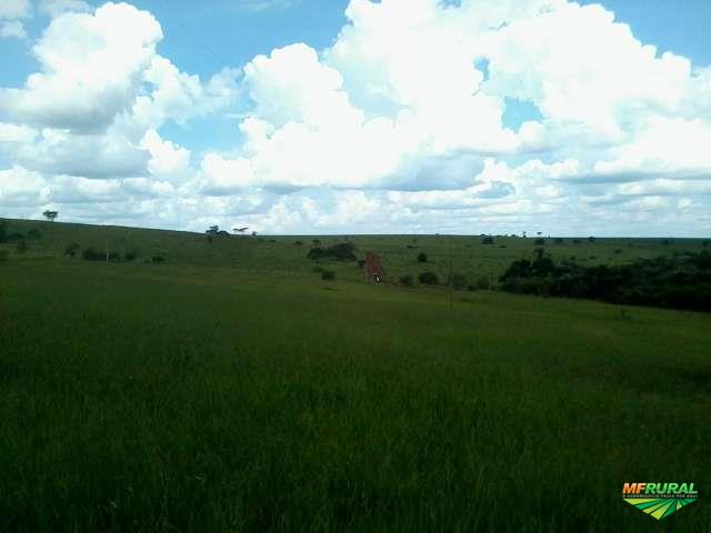 Sitio em Flora Ria-Sp - 25 Alqueires - Terra Fértil em Flora 286231
