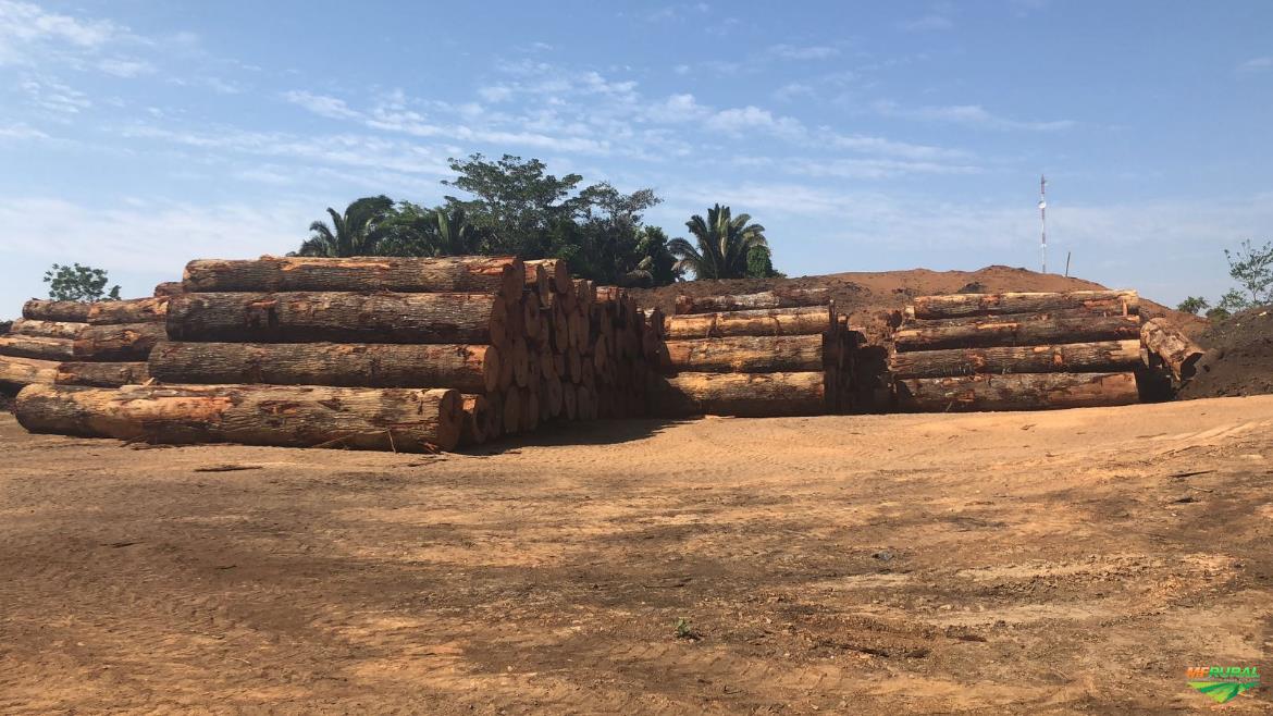 Indústria Madeireira Completa em Juruena MT à venda. Compre 321466