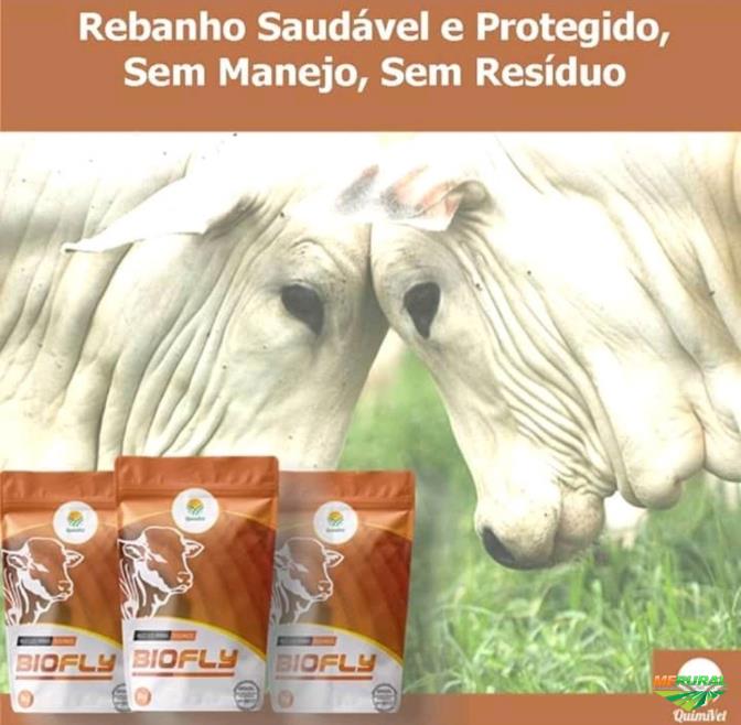 Biofly em São José do Rio Preto SP à venda. Compre direto 334538
