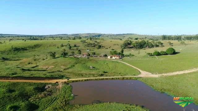 Fazenda A Venda no Sul da Bahia em Medeiros Neto BA à venda. 341662