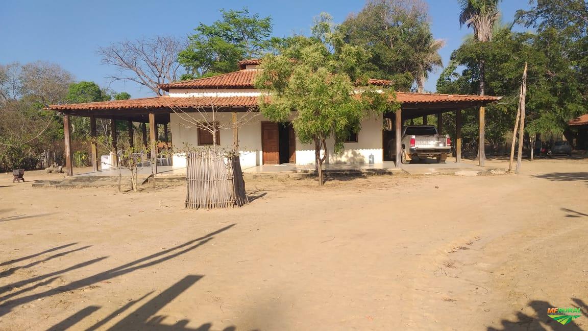 Fazenda Parnarama - Maranhão em Parnarama MA à venda. Compre 343159