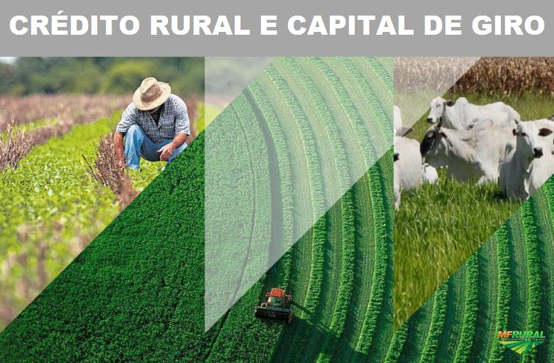 Crédito Rural E Capital de Giro Para Compra em Geral em 