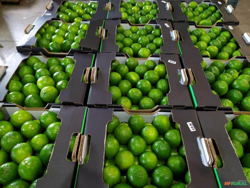 if-i-get-a-1099-div-showing-capital-gain-distributions-how-i