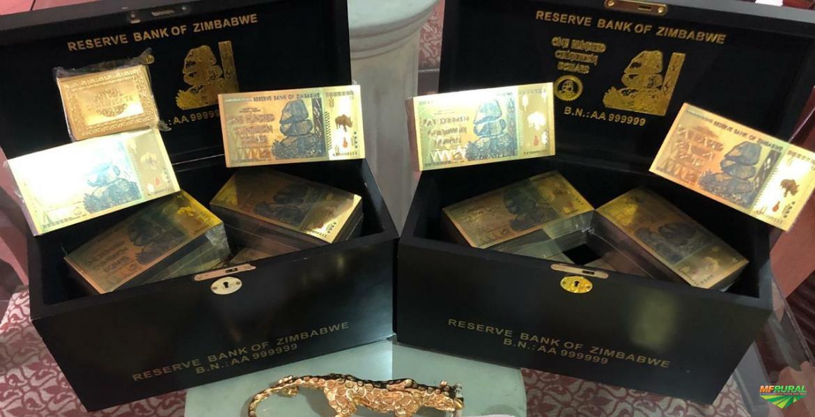 Zimbabwe Azul em Canoas RS à venda. Compre direto do vendedor 387110