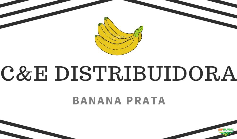 Bananas Prata de Ótima Qualidade E Ótimo Preço! em Delfinópolis 399646
