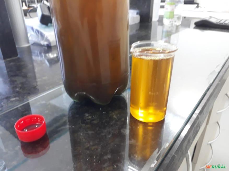 Óleo de Soja Degomado em Porto Velho RO à venda. Compre direto 635253