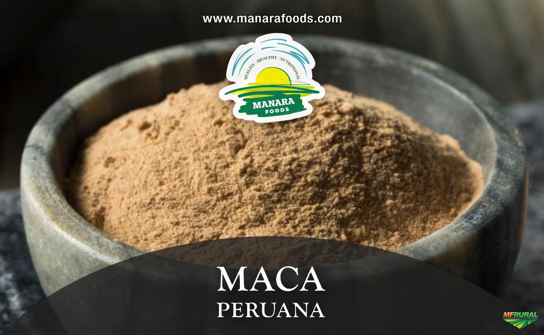 Maca Peruano | Preço Venda Compra - MF Rural
