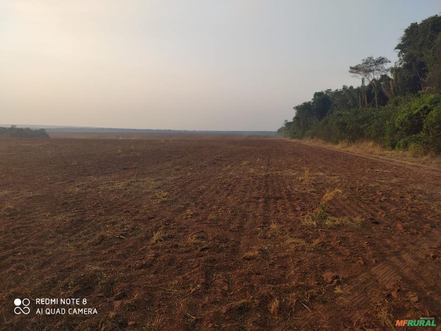 Fazenda em São José do Rio Claro mt Área Rural Referência 422887 Fazenda em São José do Rio Claro mt Área Rural Referência 422887