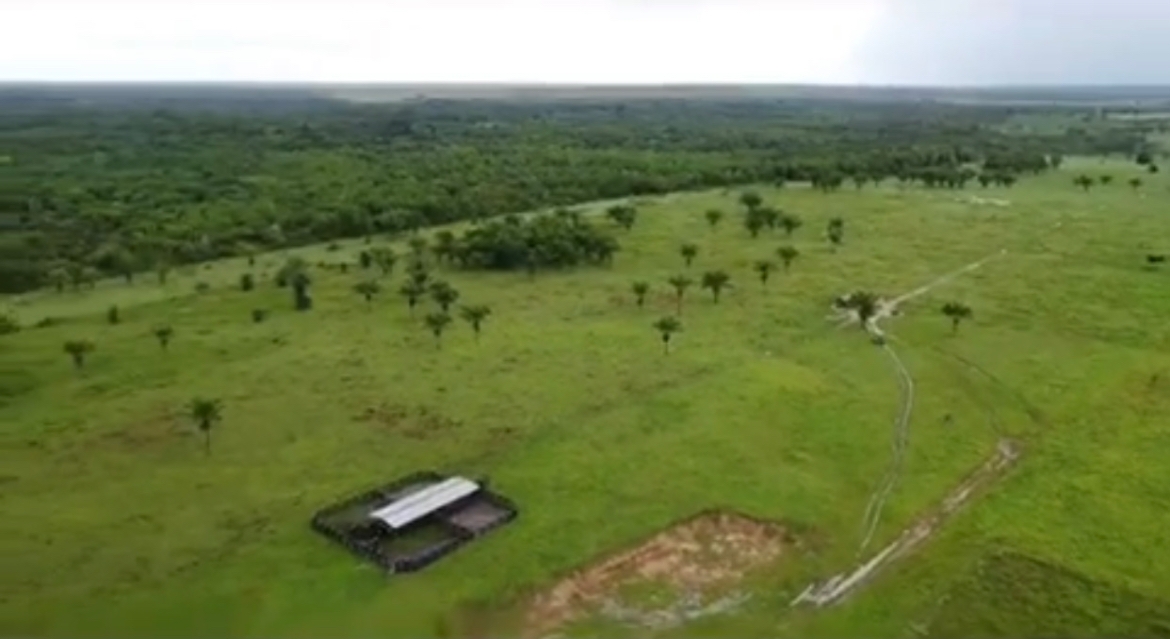 Vendo Fazenda em Igarapé Açu/Pá de Porteira Fechada em 702694