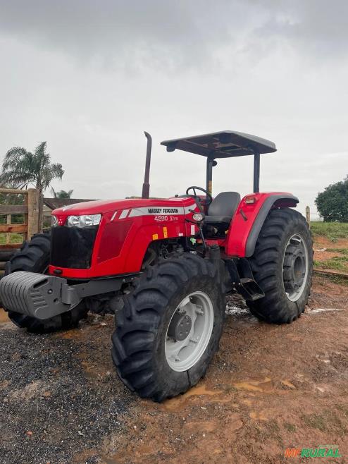 4290 Massey | Preço Venda Compra - MF Rural
