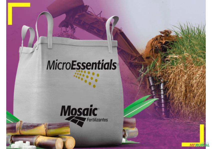 Fertilizante Microessentials S15 Para Cana Mosaic em São Paulo 424517