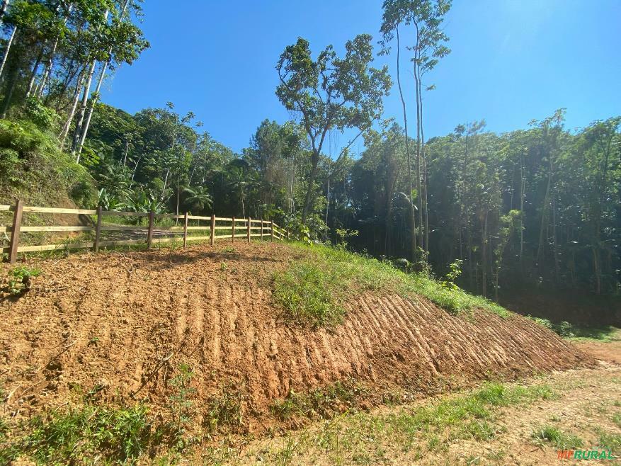 Terreno Rural Terrenos Rural em Santa Catarina | Preço Venda Compra - MF Rural