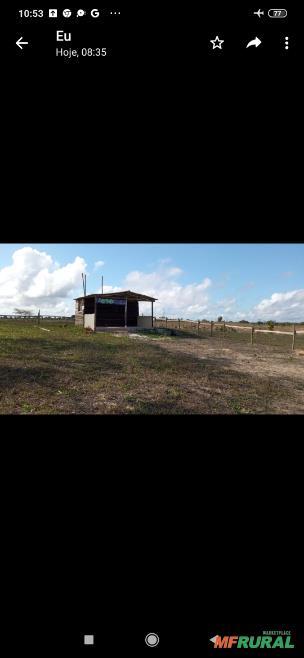 Terreno 20 Mil Metros Quadrados Para Galpão em Eunápolis BA à 441943