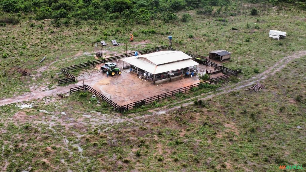 Fazendas em Alta Floresta - MT à venda com preço