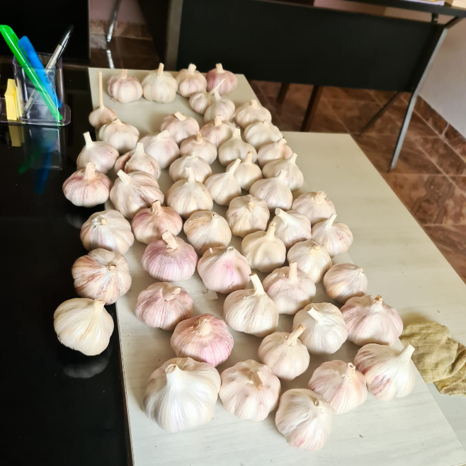 Ativar Windows 10 Powershell Comandos Cmd no Acre | Preço Venda