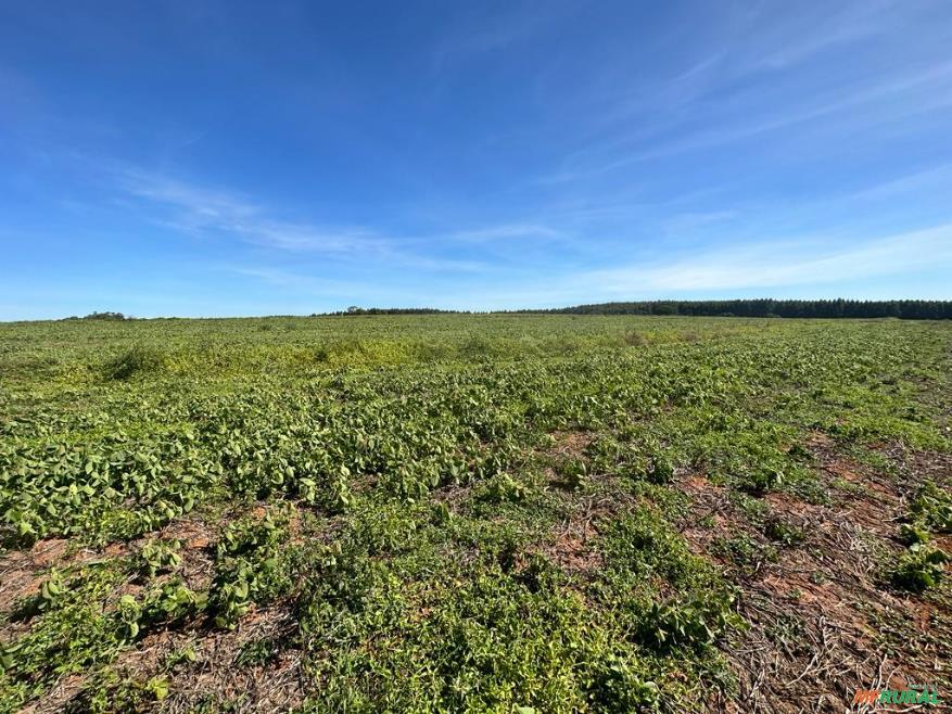 Fazenda Com 90 Hectares Para Agricultura, Região de Sorocaba em 700734