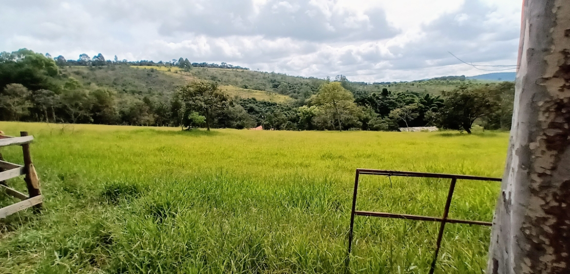 Terreno Morro em Minas Gerais | Preço Venda Compra - MF Rural