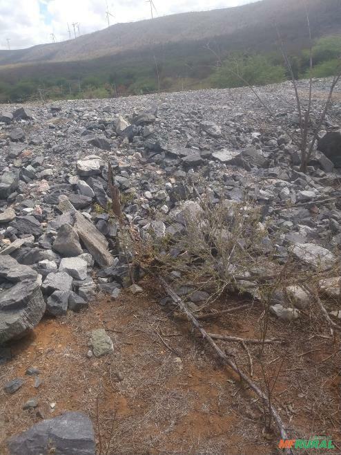 Jazidas no Rio Grande do Norte à venda com preço