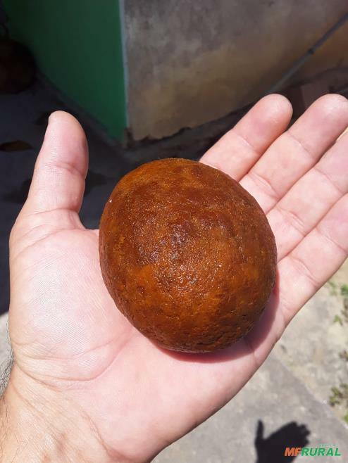 Pedra de Fel do Boi 🐂 em Porto Alegre RS à venda. Compre direto 786574